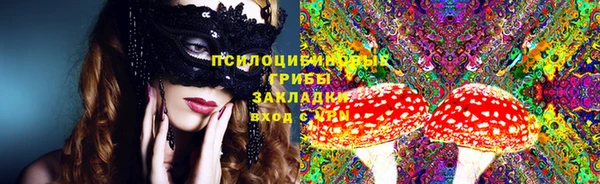 гидра Алзамай