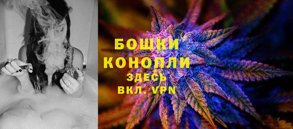 гидра Алзамай