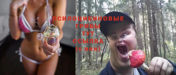 герыч Алексин