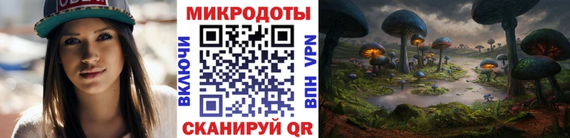 Галлюциногенные грибы Psilocybine cubensis  закладка  Трёхгорный 