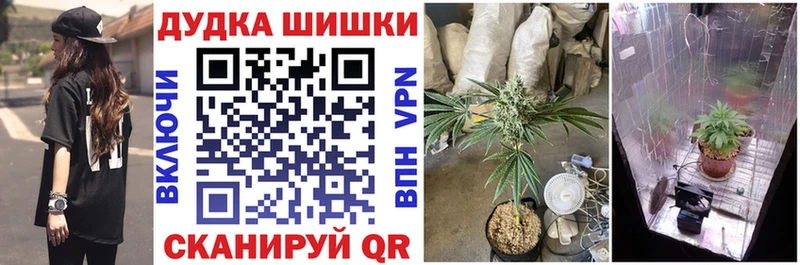 Шишки марихуана Ganja Трёхгорный